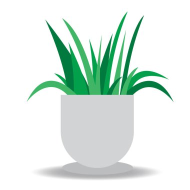 ev elementleri el çizimi kapalı ev bitkileri beyaz tencerede