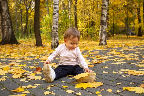 Милая маленькая девочка, сидящая в желтых листьях на дорожке парка — стоковое фото