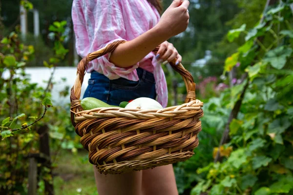 Joven entregando frutas y verduras frescas —  Fotos de Stock