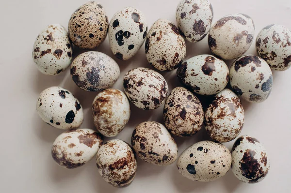 Святої Великодня Маленькі Великодні Перепелині Яйця — стокове фото