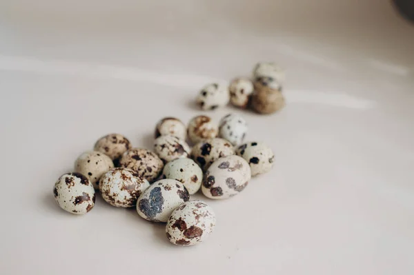 Святої Великодня Маленькі Великодні Перепелині Яйця — стокове фото