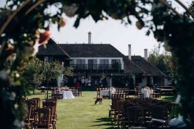 Ormandaki bir açıklıkta düğün töreni.