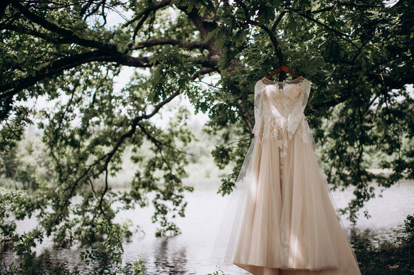 Wedding dress hanging on a tree over the lake