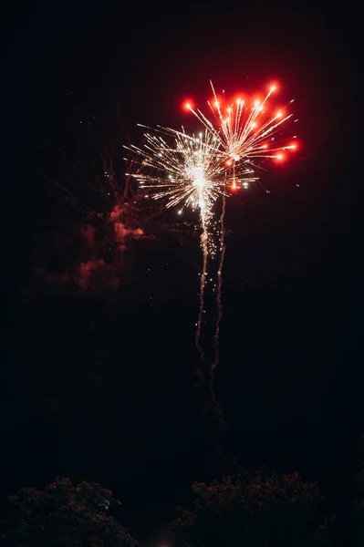 Fireworks Night Sky City — Stock Photo, Image