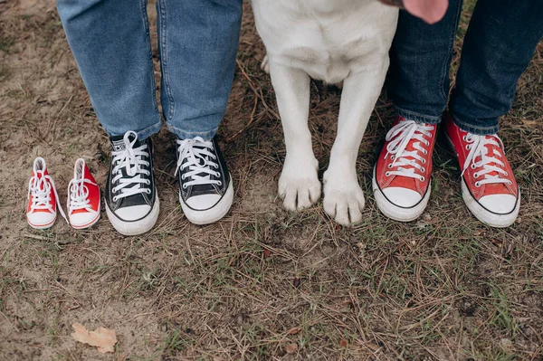 Família Futuros Pais Com Cão Pernas Close — Fotografia de Stock