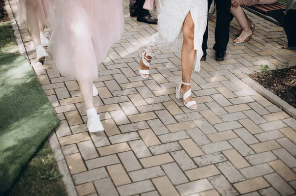 Bekarlığa veda partisinde zarif gece elbiseleri giyen nedimelerin bacakları.