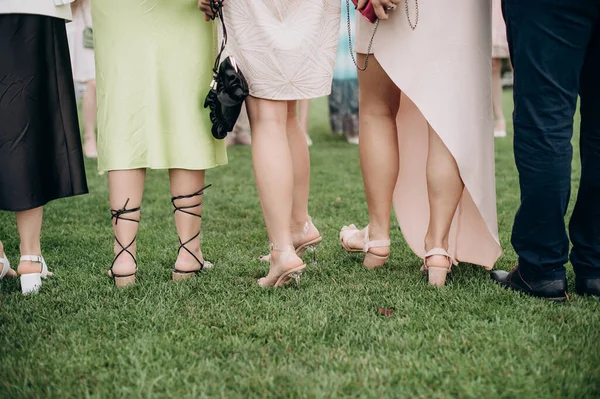 Benen Van Bruidsmeisjes Elegante Avondjurken Een Vrijgezellenfeest — Stockfoto