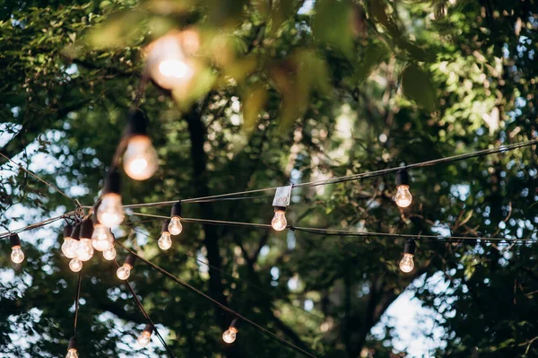 Retro Girlande Aus Glühbirnen Garten Auf Einem Baum — Stockfoto