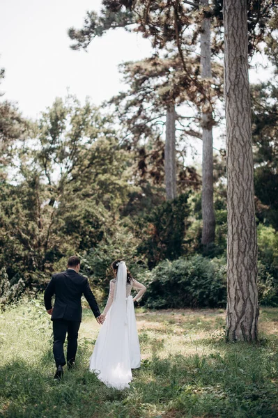 新娘和新郎在公园里散步 — 图库照片