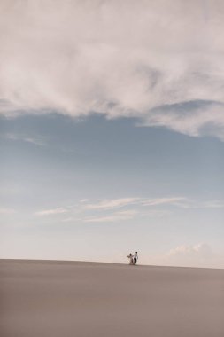 Kumsalda yürüyen çift.