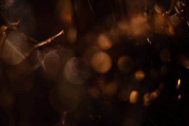Bokeh ışıkları ile soyut arkaplan