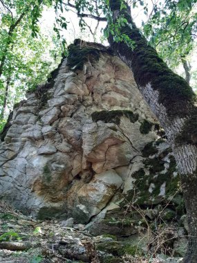 Kaya büyük bir düzlemdir.