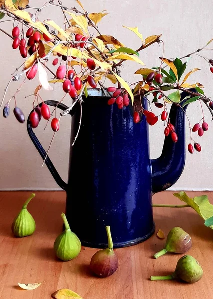 Pflanzen Und Blätter Herbst — Stockfoto