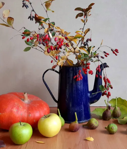 Stillleben Mit Berberitze Und Kaffeekanne — Stockfoto