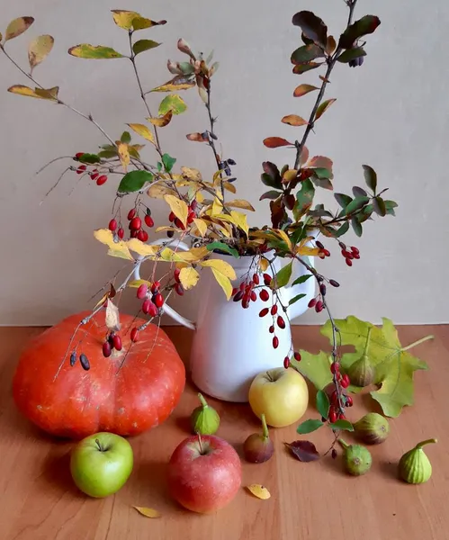 Nature Morte Épine Vinette — Photo