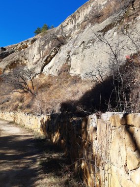 the shadow of a tree on the path in the park