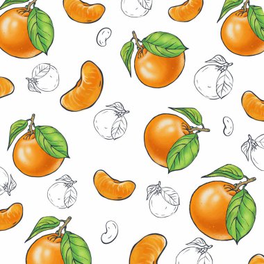 Mandalina ve mandalina dilimleri çizimi