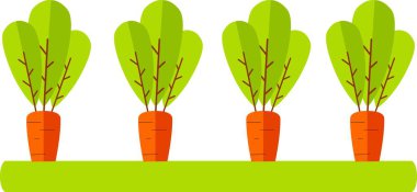 Havuç Tarzı Sevimli Havuç Stili. Vektör İllüstrasyon Havucu Beyaz Arkaplanda İzole Edildi.