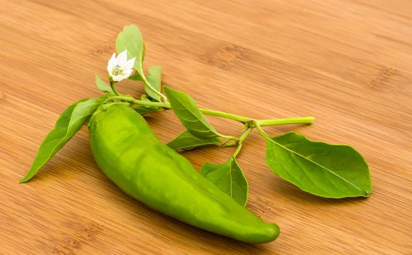 Pimiento chile , — Foto de Stock