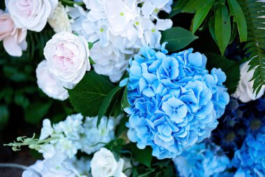 Taze beyaz güller, mavi orkideler ve mumlarla süslenmiş düğün dekorları. Düğün kemeri. Yumuşak seçici odak.