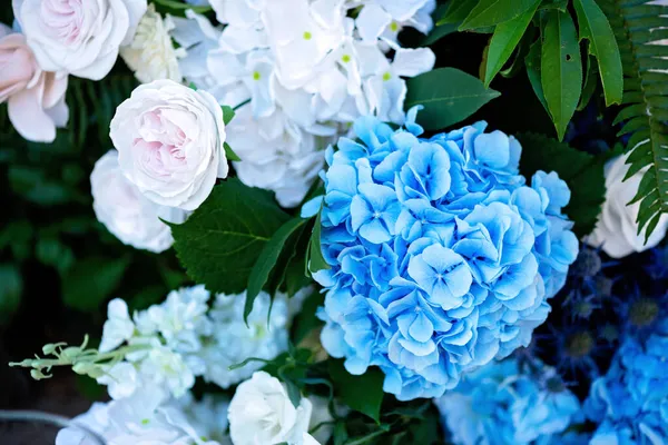 Taze beyaz güller, mavi orkideler ve mumlarla süslenmiş düğün dekorları. Düğün kemeri. Yumuşak seçici odak.