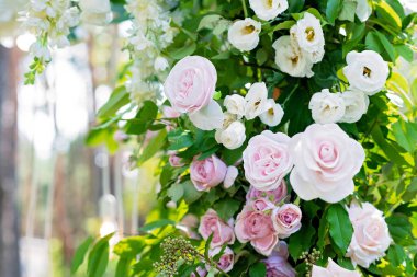 Beyaz ve pembe renkli taze çiçeklerin düğün töreni kemeri, yakın plan. Yumuşak seçici odak.