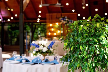 Şenlikli düğün, mavi keten peçeteli masa düzenleme, mumlar ve taze çiçek buketleri. Düğün süslemeleri. Defoktus. Yumuşak seçici odak.