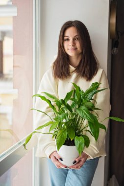 Kafkasyalı güzel bir kadın saksıda Spatthiphyllum bitkisini tutuyor. Bahçıvanlık, hobi. Yumuşak seçici odak.