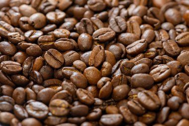 Aromatik kavrulmuş kahve çekirdekleri. Yumuşak seçici odak.