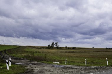 yeşil bitki örtüsü ve parlak gökyüzü güzel kırsal manzara
