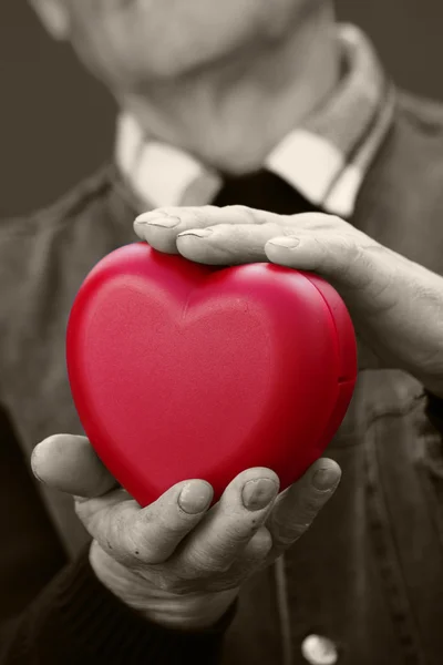 Ręce wyższego szczebla, osoby w podeszłym wieku człowiek gospodarstwa czerwone serce — Zdjęcie stockowe