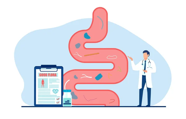 Vecteur Médecin Examinant Tractus Gastro Intestinal Donnant Rapport Bonne Flore — Image vectorielle