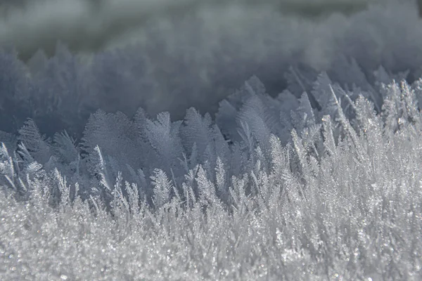 Feather Shaped Ice Crystals Frisco Colorado Usa — Stock Photo, Image