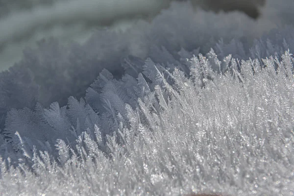 Federförmige Eiskristalle Frisco Colorado Usa — Stockfoto