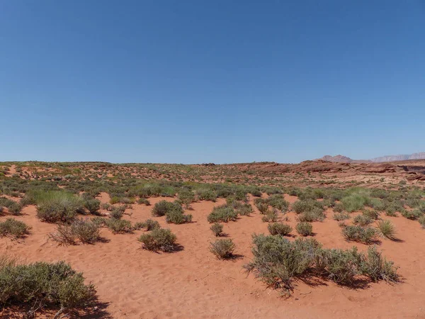Arizona sayfasındaki çöl manzarası