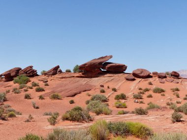 Arizona sayfasındaki çöl manzarası