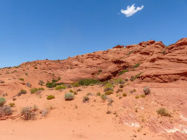 Antilop Yuvası Kanyonu - Sayfa - Arizona - ABD
