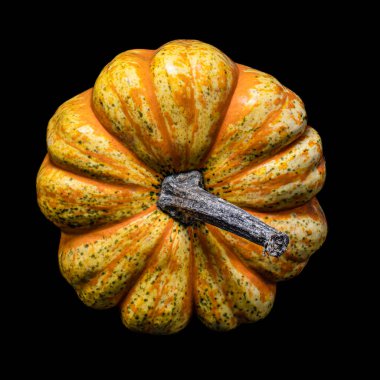 Siyah arka planda izole edilmiş taze balkabağı