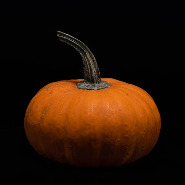 Fresh Pumpkin Isolated Black Background — Stock Photo, Image