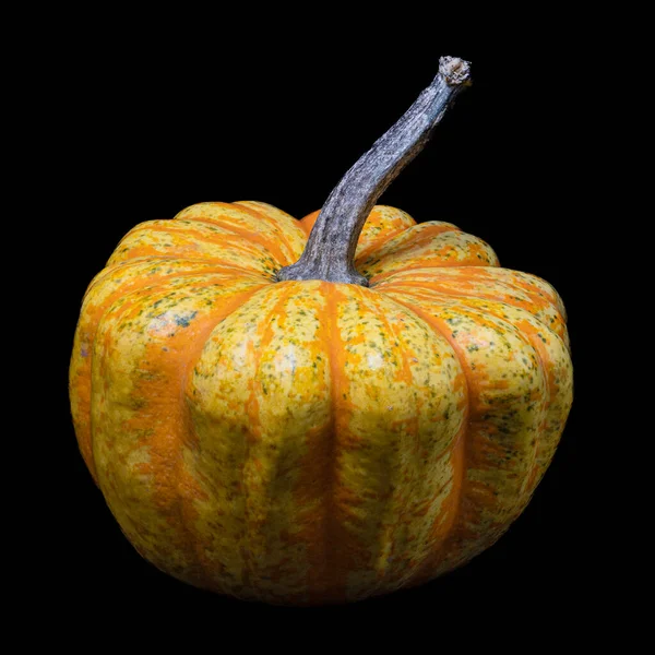 Fresh Pumpkin Isolated Black Background — Stock Photo, Image