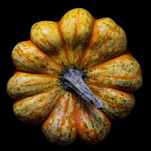 Fresh Pumpkin Isolated Black Background — Stock Photo, Image