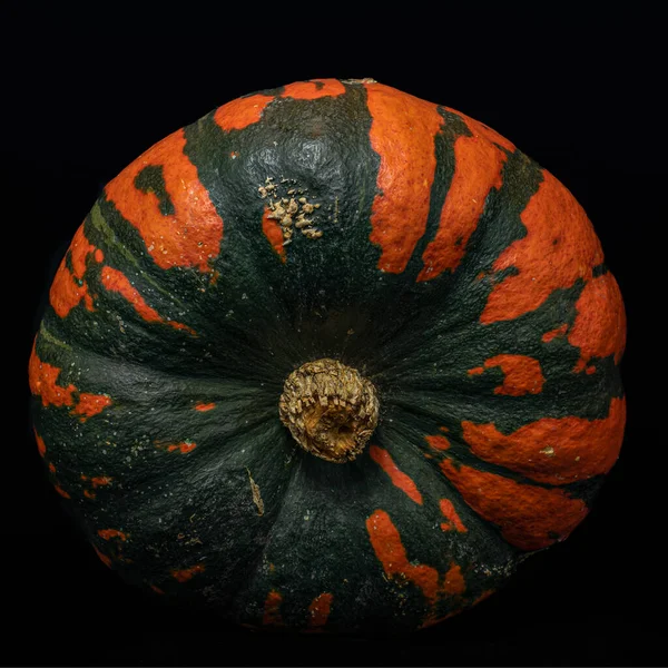 Fresh Pumpkin Isolated Black Background — Stock Photo, Image