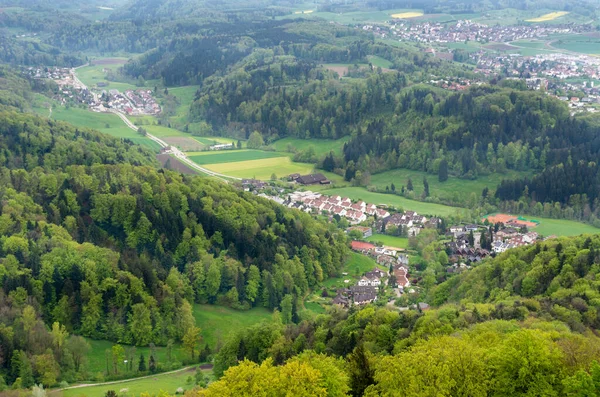 View Beautiful Lush Forests Houses Valley Seen Uetliberg Lookout Tower — Stockfoto