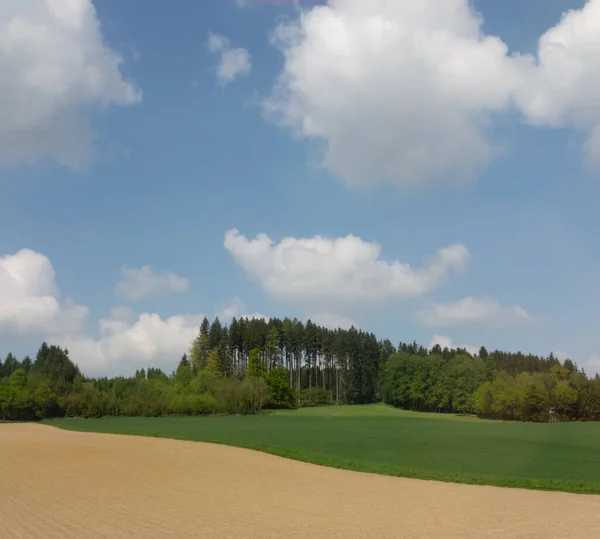 Schöne Landwirtschaftliche Landschaft Mit Dem Wald Hintergrund Entlang Der Österreichischen — Stockfoto