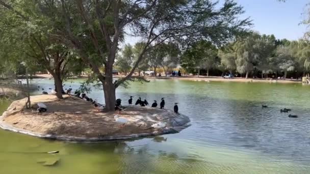 Gauche Droite Montrant Des Images Lac Principal Aux Lacs Qudra — Video