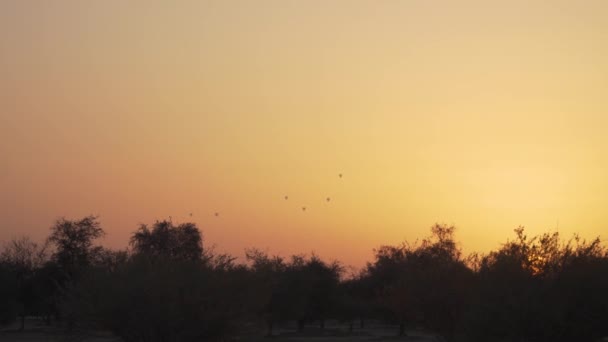 Beautiful Sunrise Scene Silhouetted Acacia Trees Foreground Tiny Specs Hot — Stock Video