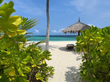 Turkuaz renkli suları, güneşli bir dinlenme yeri ve Maldivler 'deki bir ada tatil beldesinde kurulmuş kumsal şemsiyesi olan güzel bir sahile giden yol..