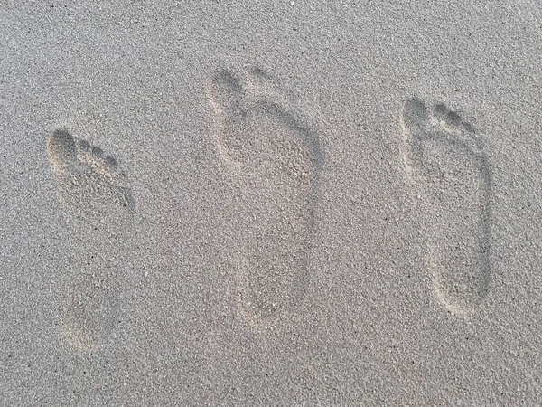 Three human footprints of varying sizes on the sand of a tropical beach.