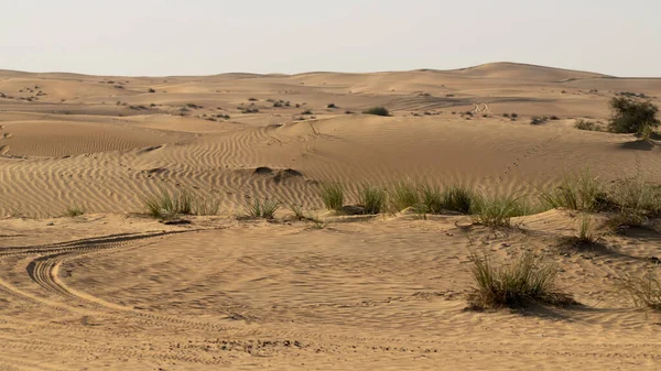 Hermosa Vista Del Paisaje Desértico Con Dunas Arena Vegetación Desértica — Foto de Stock