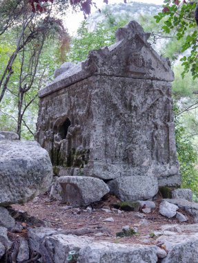 Stone sarcophagus among the ruins of the ancient city of Olympos (Olympus). Cirali beach, Antalya region, Turkey.